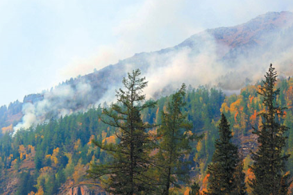 新疆阿勒泰自然保護區(qū)防火預(yù)警