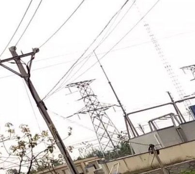 看看這些電力人的春季巡檢！