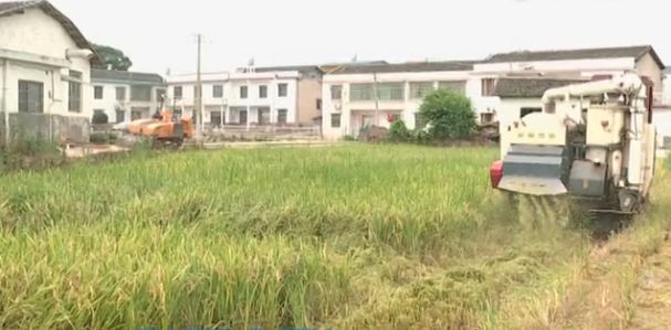 秸稈焚燒，NO！這個(gè)神器了解一下，湘鄉(xiāng)安排180萬(wàn)資金全面推廣