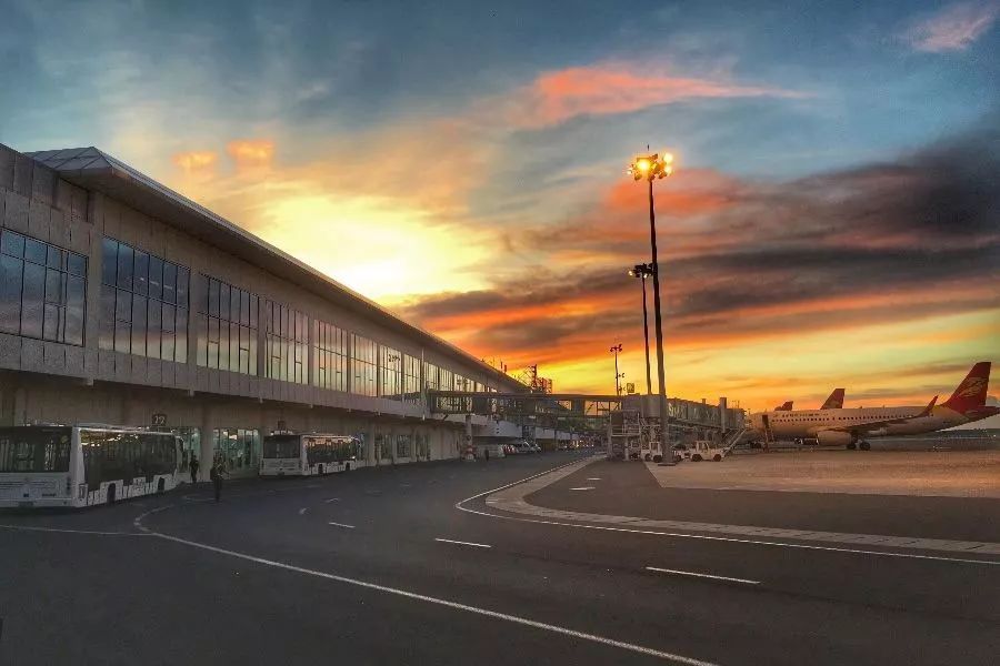 鳥是人類的益友，然而對(duì)機(jī)場(chǎng)而言......