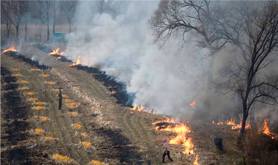 玉米秸稈別焚燒了，河北衛(wèi)星監(jiān)控幾乎全覆蓋！違者重罰！