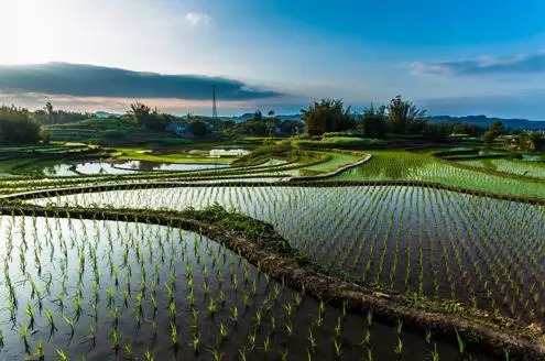 扮靚綠水青山，農(nóng)村分散式污水處理遠(yuǎn)程監(jiān)控系統(tǒng)助力污水處理信息化進(jìn)程