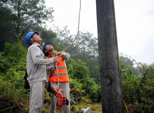 白露已過，秋天來襲，不怕不怕，有我在