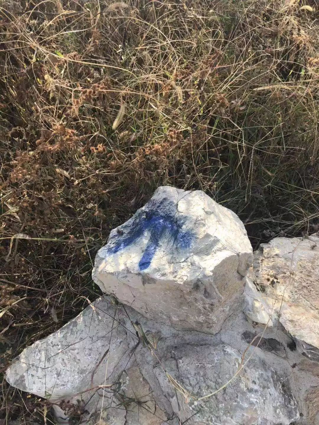 七賢街道完成森林防火卡口監(jiān)控設(shè)備安裝、選址工作