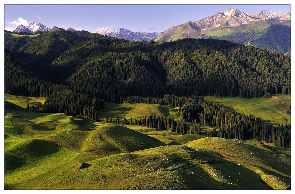 光電轉(zhuǎn)臺(tái)、無(wú)人機(jī)······環(huán)境檢測(cè)領(lǐng)域里的“黑科技”