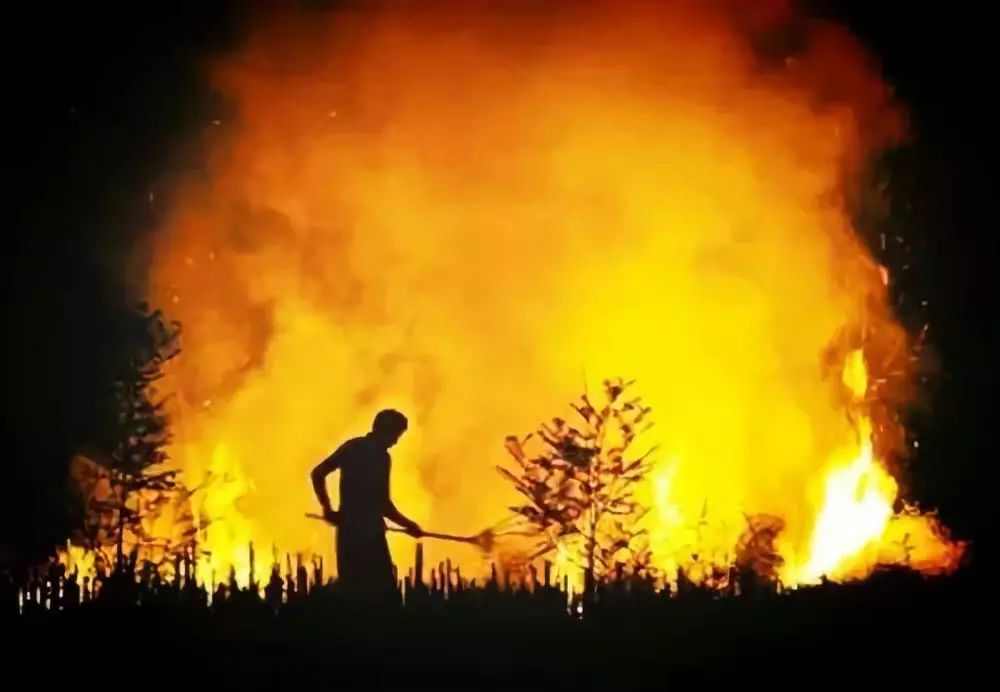 如何看待美國加州大火？怎樣有效防止森林火災蔓延成人間悲?。?></a>
                <div   id=