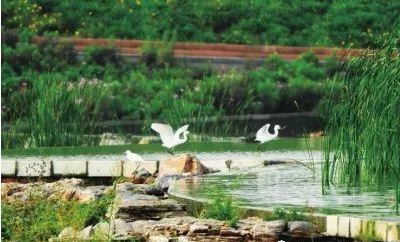 這樣的石景山,實(shí)現(xiàn)林區(qū)視頻和煙火識(shí)別系統(tǒng)無死角監(jiān)控