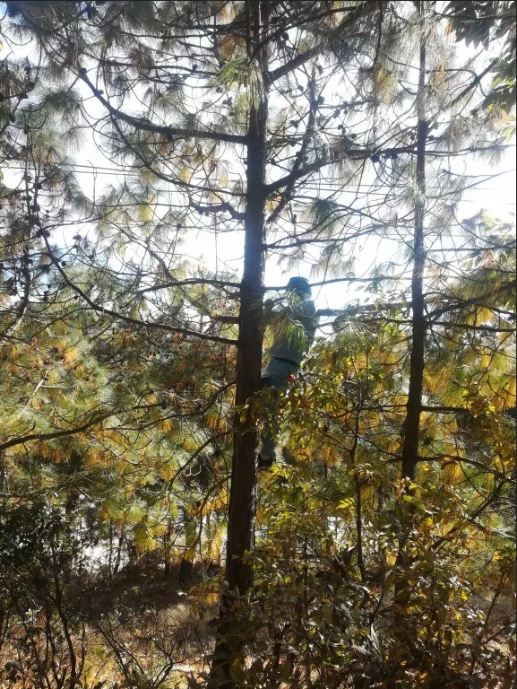 存在職能空轉(zhuǎn)等六大問(wèn)題 森林草原防滅火督查通報(bào)來(lái)了