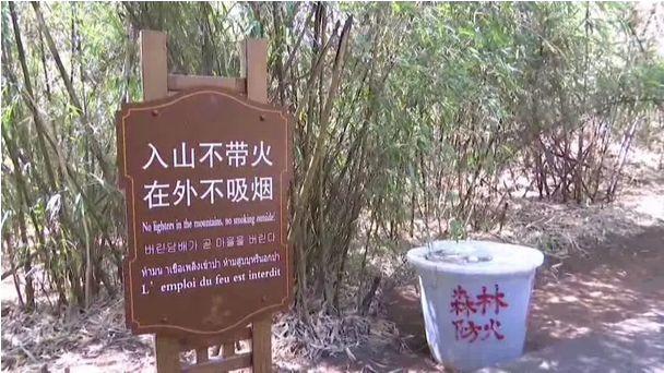 贊！雞足山景區(qū)連續(xù)35年無森林火災(zāi)，因?yàn)樗麄?..