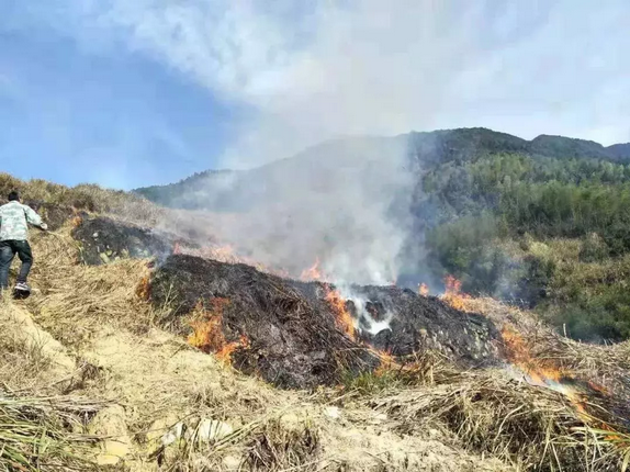 有了天上這幾只“大眼睛”，焚燒秸稈行為無所遁逃！