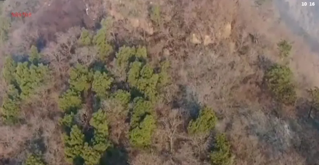 “無人機+紅外熱像儀”助力森林火險預警