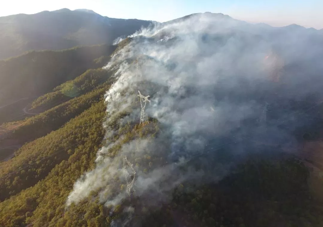 山火來勢洶洶怎么防怎么破？