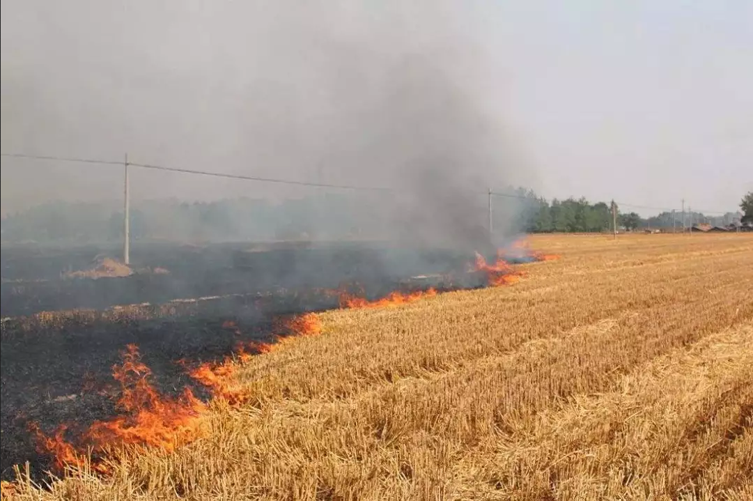 全方位、全覆蓋、無縫隙、實時監(jiān)控！夏收的秸稈你別燒！