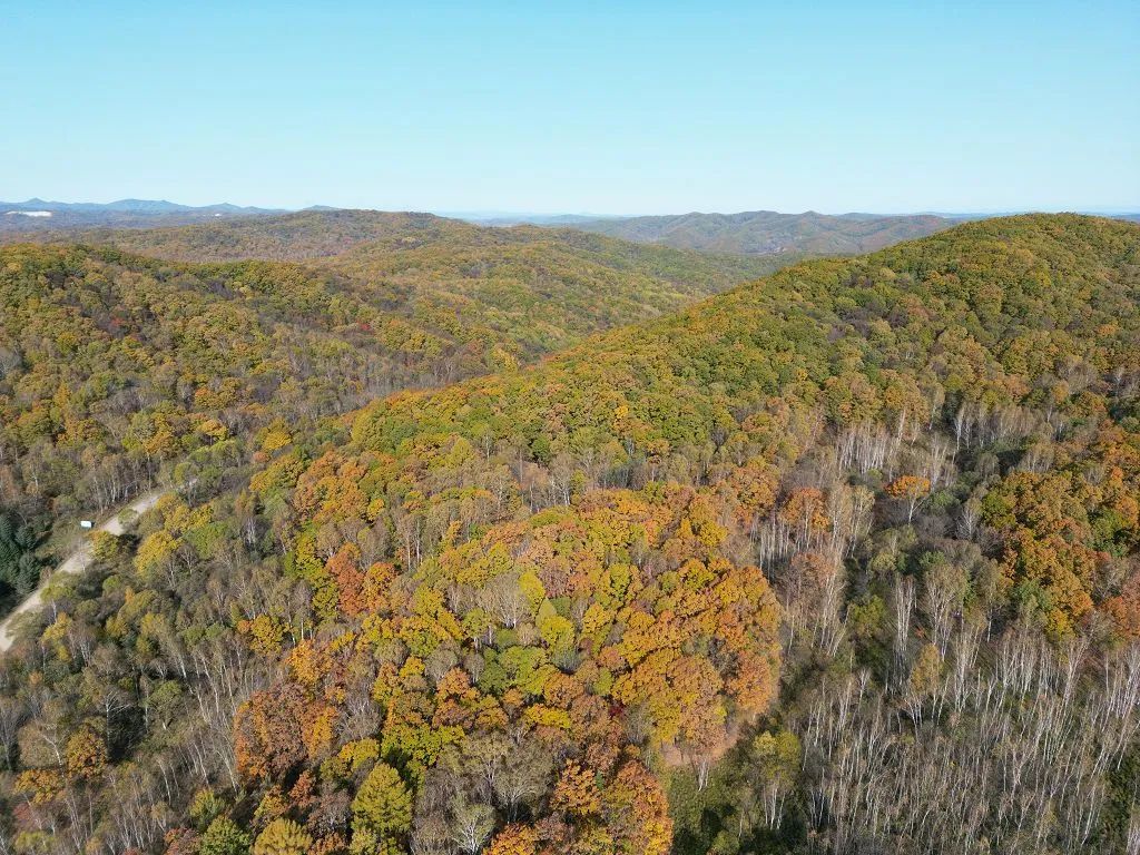 針對40000畝森林，如何選擇森林防火遠距離監(jiān)控攝像機