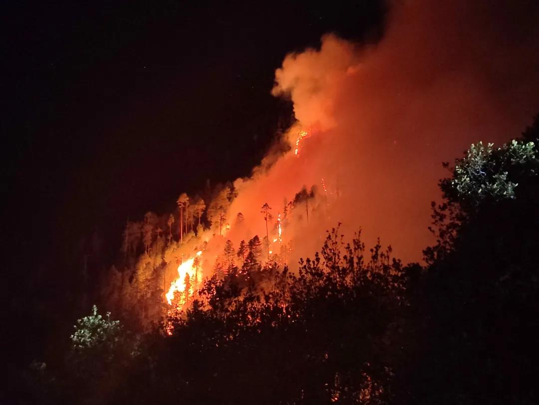 森林火災(zāi)預(yù)警監(jiān)控?cái)z像機(jī)