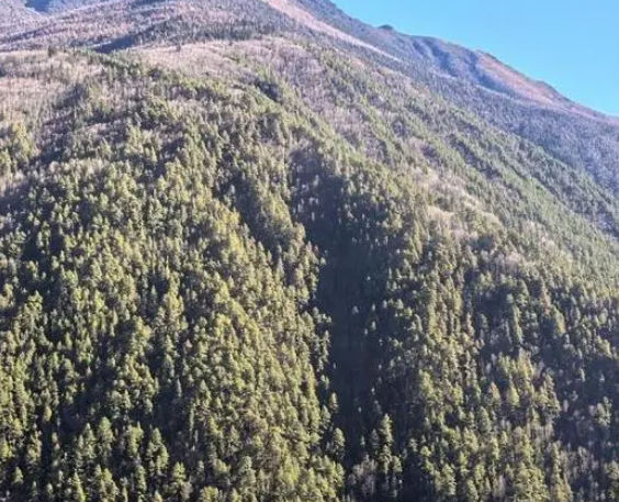 遠紅外雙光重載云臺攝像機