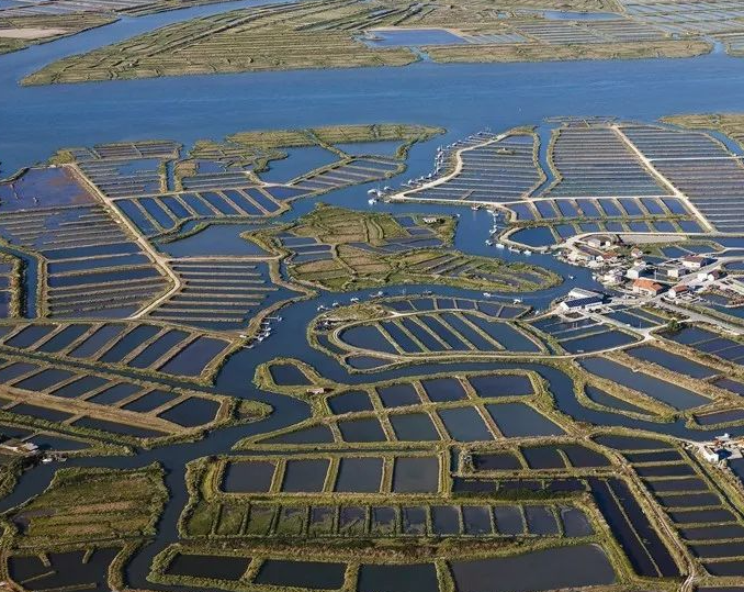 激光夜視球型轉臺攝像機