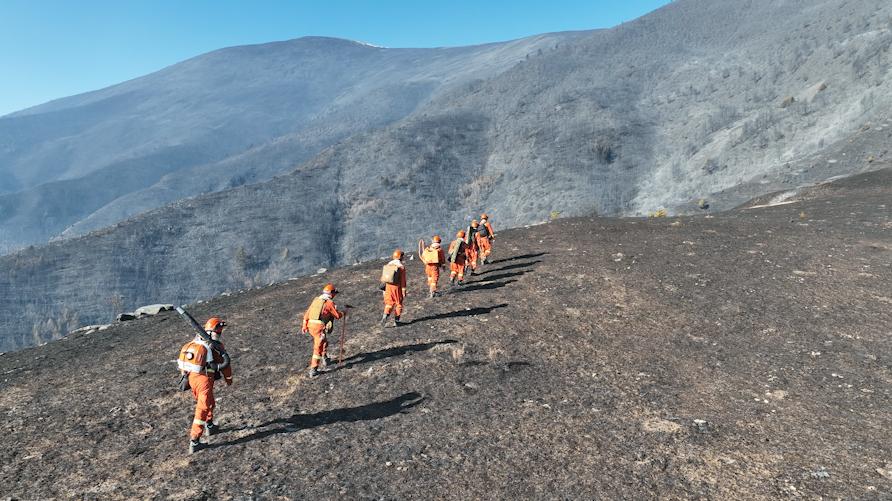雙芯雙視距：基于熱成像與可見光的林地防火實(shí)時(shí)監(jiān)測(cè)方案