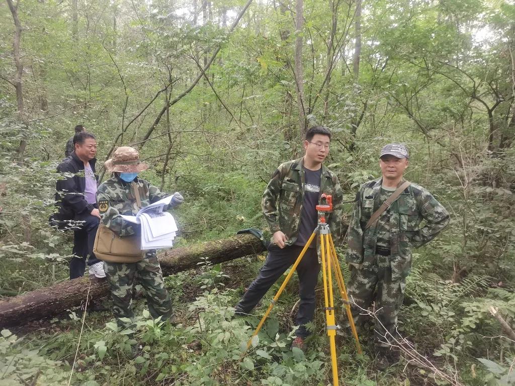 多維度解碼：森林防火監(jiān)控攝像機的戰(zhàn)略價值與技術(shù)突破