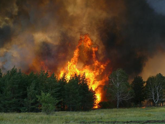 森林防火監(jiān)控攝像機